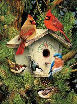Нарисувай картина Royal & Langnickel - Къщичка за птици - творчески комплект