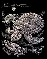 Създай сам холограмна гравюра - Морска костенурка - 