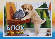 Блок за рисуване - Комплект от 2 или 4 броя с размери 33 x 22 cm