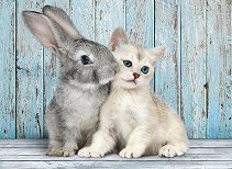 Коте и зайче - пъзел