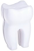 Анатомичен модел на зъб - 