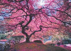 Розово дърво - пъзел