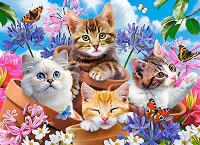 Котенца и цветя - 