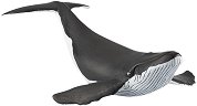 Гърбат кит - 