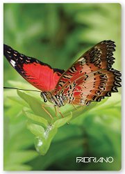 Ученическа тетрадка - Пеперуди Формат А4 с широки редове - 