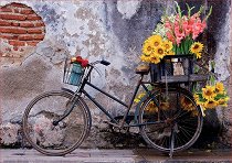 Велосипед с цветя - 