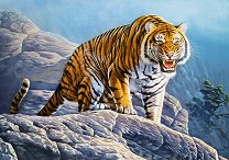 Тигър в планината - пъзел
