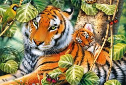 Два тигъра - 