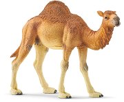 Едногърба камила - фигури