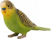 Вълнист папагал - фигура