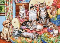 Семейство котки - 