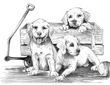 Рисуване по номера Royal & Langnickel - Кученца
