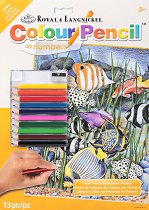 Рисуване по номера с цветни моливи - Тропически риби