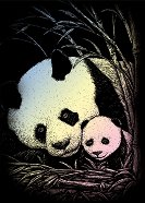Скреч картина Royal & Langnickel - Панда и бебе
