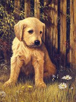 Рисуване по номера с акрилни бои - Кученце