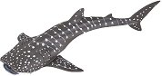 Фигурка на малка китова акула Papo - фигура
