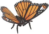 Фигурка на пеперуда Papo - играчка