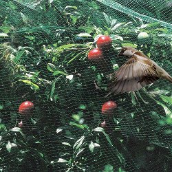 Защитна мрежа срещу птици Tenax Ortoflex