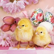 Салфетки за декупаж - Великденски пиленца
