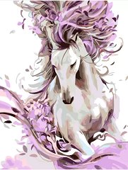 Рисуване по номера Rosa - Красив кон