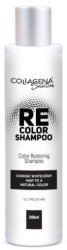 Collagena Solution REcolor Shampoo - маска