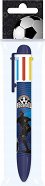Химикалка с шест цвята Derform - Футбол