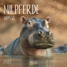 Стенен календар - Nilpferde 2022 - 