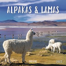 Стенен календар - Alpakas & Lamas 2022 - 