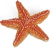 Морска звезда - фигура
