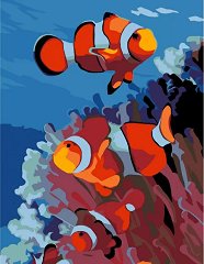 Рисуване по номера Rosa - Коралови рибки