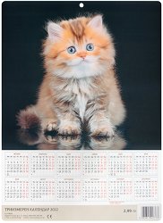 3D календар - Котка 2022 - 