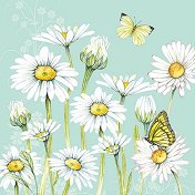    Ambiente Daisy green