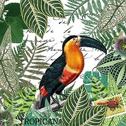 Салфетки за декупаж Ambiente Tropicana