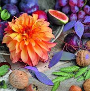 Салфетки за декупаж Stewo - Далия и есенни плодове