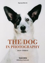 The Dog in Photography 1839 - Today - 
