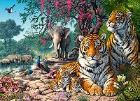 Семейство тигри - 