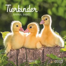 Стенен календар - Tierkinder. Animal babies 2023 - 