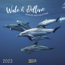 Стенен календар - Wale & Delfine 2023 - 
