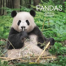 Стенен календар - Pandas 2023 - 