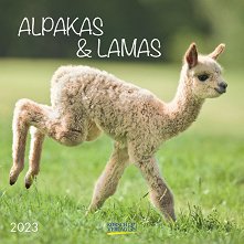 Стенен календар - Alpakas & Lamas 2023 - 