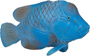Фигура на хищна риба син групер Mojo - фигура