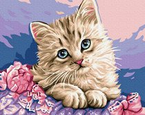 Рисуване по номера - Котенце с розови цветя