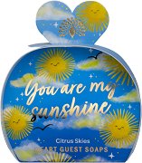 English Soap Company You Are My Sunshine Soap - 