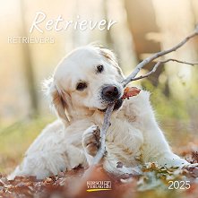   - Retrievers 2025 - 