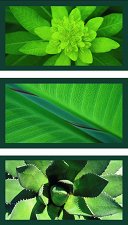 Флорална импресия в зелено - пъзел