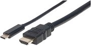  USB Type-C  HDMI Manhattan