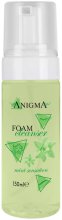 Anigma Mint Sensation Cleanser Foam - 