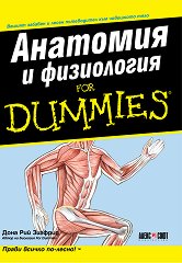 Анатомия и физиология For Dummies - 