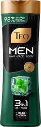 Teo Men 3 in 1 Menthol Shampoo - 