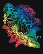 Създай сам цветна гравюра KSG Crafts - Пеперуда - играчка